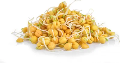 Obrázek produktu pro Hrách cukrový - Semínka na klíčení 50 g BIOMISKA