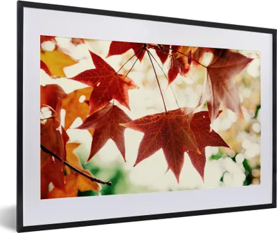 Produktbild von MuchoWow® Gerahmtes Poster Herbstblätter - November - Natur - Bäume 60x40 cm - Poster mit Schwarzem Bilderrahmen Wandposter Rahmen Foto Bilder - Schlafzimmer - Plakat in Rahmen - Drucken