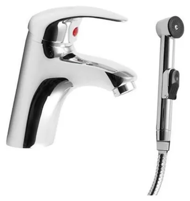 Immagine prodotto di Rubinetto per lavabo con doccetta per WC, cromo