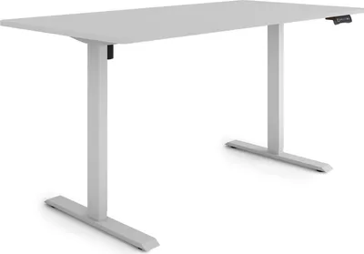Produktbild von ESMART Germany ETX-121GG 160 x 80 cm Hellgrau Ergonomischer Steh-Sitz-Schreibtisch Stufenlos elektrisch höhenverstellbar 73,5 - 123,5 cm 3x Memory Aktivitätserinnerung Soft-Start/Stopp Schnelle Montage