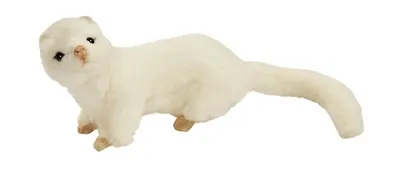 Produktbild von Hansa Toy 4839 Frettchen weiss 21 cm Kuscheltier Plüschtier