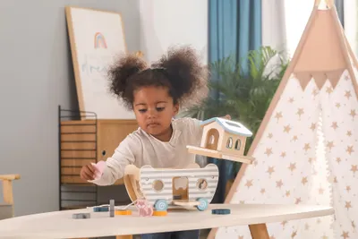 Produktbild von Viga Toys - VIGA PolarB Arche Noah Sortiermaschine
