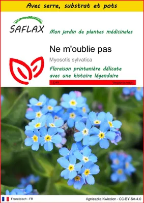 Image de SAFLAX Ensemble de culture - Ne m'oublie pas - 150 graines - Myosotis