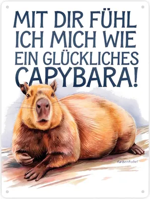Produktbild von Glücklich mit dir- fröhliches Capybara Metallschild XXL in 28x38 cm