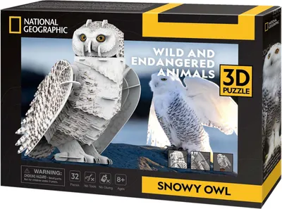 Zdjęcie produktu dla Cubic Fun Puzzle 3D Puchacz nieny 0793