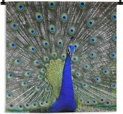 Produktbild von MuchoWow® Wandteppich Wandbehang Pfau - Schnabel - Grün 60x60 cm Tapisserie Dekoration Wandtuch - Dekorationen - Wand Decke