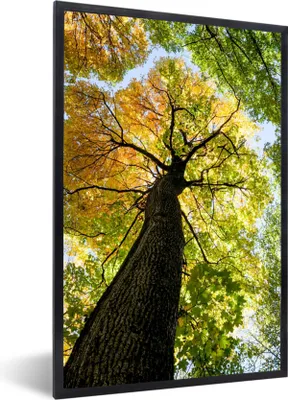 Produktbild von MuchoWow® Gerahmtes Poster Baum - Natur - Wald 60x90 cm - Poster mit Schwarzem Bilderrahmen Wandposter Rahmen Foto Bilder - Kunst