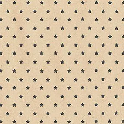 Produktbild von Braun & Company Servietten Motiv By Nature Etoiles 33 x 33 cm - 20er Pack