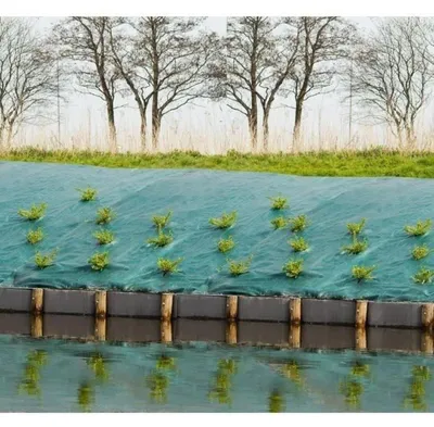 Obrázek produktu pro Nature Folie antiburuieni pentru sol, vidaXL, 1 x 25 m, Verde