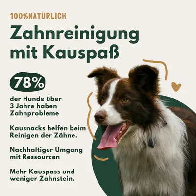 Produktbild von Rinderpansen Weiß 5 Kg Hundesnack Kausnack Hundeleckerlie getreidefrei für Hunde natürlich ohne Zusätze