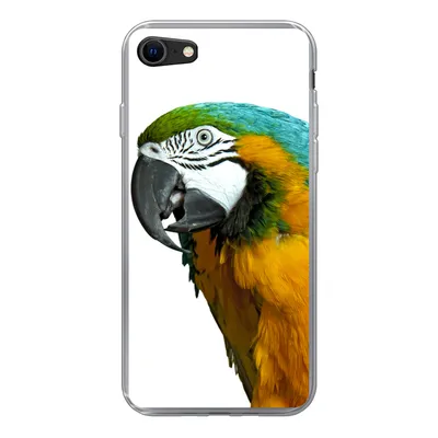 Produktbild von MuchoWow® Handyhülle Schutzhülle Hülle für iPhone SE 2022 Papagei - Vogel - Federn - Porträt Silikon Softcase Handy Hülle - Schutzhülle
