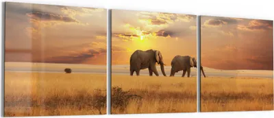 Produktbild von DEQORI Glasbild Echtglas 3x50x50 cm 'Elefanten in der Steppe' Wandbilder XXL groß