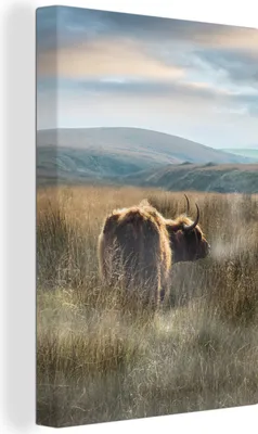 Produktbild von OneMillionCanvasses® - Leinwandbilder - 90x140 cm, Schottische Hochlandrind - Nebel - Gras, Wandbilder Wohnzimmer Hochland Rind - Tier Wanddekoration - Hochland Rind - Kuh - Gemälde auf Holzrahmen  - Wandschmucke - Schlafzimmer