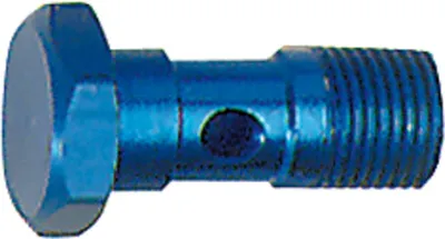 Produktbild von Riegler Hohlschraube, G 1/4, SW 17, Aluminium