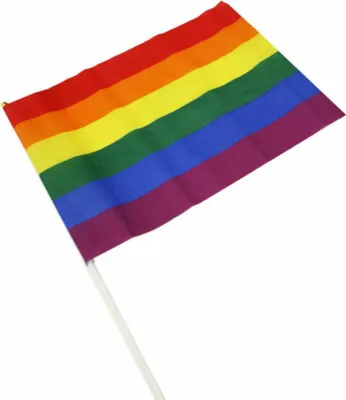 Obrázok produktu pre Pride - Mediánový Lgbt Banderín