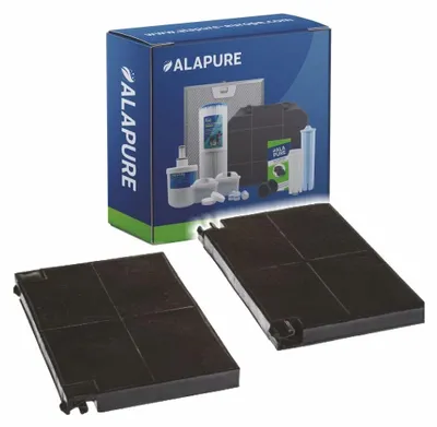 Image de Filtre à charbon actif pour MCFE16 / 9029800621 / EFF55 / 92X3413 / 1120016758