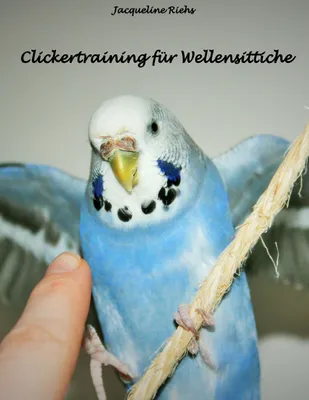 Produktbild von Clickertraining für Wellensittiche