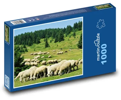 Obrázek produktu pro Puzzle 1000 Pastva ovcí na louce - martinpuzzle