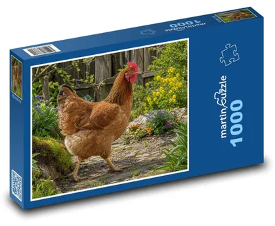 Obrázek produktu pro Puzzle 1000 Slepice na zahradě - martinpuzzle
