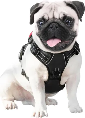 Produktbild von Anti-Zieh Hundegeschirr mit reflektierendem Vest und praktischer Handgriff, verstellbar und einfach anzuziehen