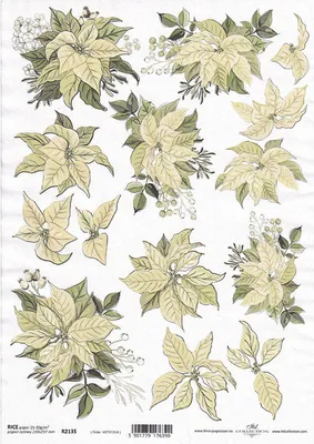 Produktbild von ITD Reispapier Decoupage Bastelpapier Softpapier Serviettentechnik, Weihnachtsstern R2135