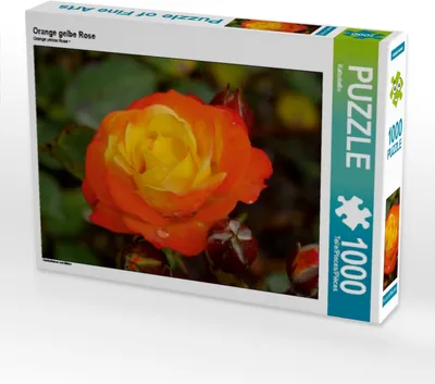 Produktbild von Calvendo Orange gelbe Rose 1000 Teile Puzzle quer 640x480mm, CALVENDO; 7312147