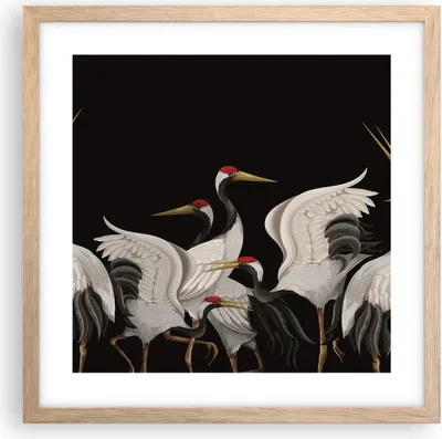 Produktbild von Gerahmtes Poster - Rahmen in heller Eiche - Kraniche Vögel Grafiken - 40x40 cm - Wand Bild - Wanddeko - Wandbilder - Kunstposter - Wandposter - Bilderrahmen - Bilder - Kunstdruck - P2NAC40x40-4748