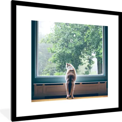 Produktbild von MuchoWow® Gerahmtes Poster Katze - Fenster - Pflanzen 40x40 cm - Poster mit Schwarzem Bilderrahmen Wandposter Rahmen Foto Bilder - Poster - Plakat im Rahmen