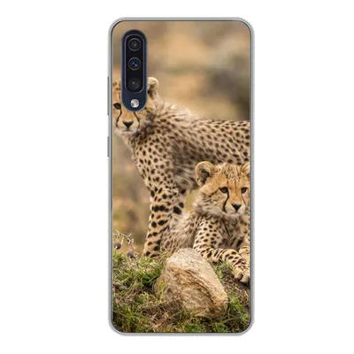 Produktbild von MuchoWow® Handyhülle Schutzhülle Hülle für Samsung Galaxy A50 Leopard - Jungtier - Natur Silikon Softcase Handy Hülle - Mobiltelefonhülle