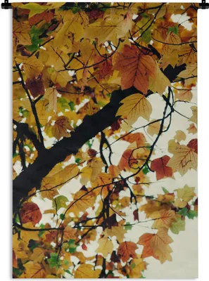 Produktbild von MuchoWow® Wandteppich Wandbehang Bäume - Herbstblätter - Natur 60x90 cm Tapisserie Dekoration Wandtuch - Foto-Teppich - Abwaschbar