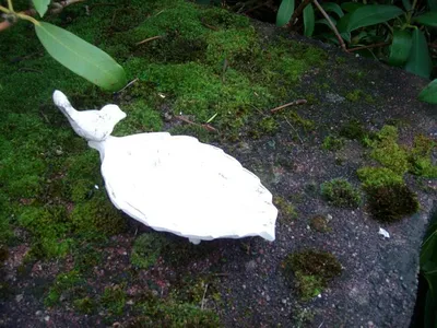 Produktbild von Vogeltränke Vogel-Futterstelle Gusseisen Blatt massiv creme 16 cm