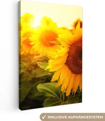 Produktbild von MuchoWow® - Leinwandbilder - Sonnenblume - Gelb - Blumen - Sonne, Wandbild, Wanddeko Bilder Wohnzimmer, 60x90cm