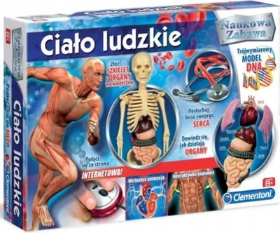 Zdjęcie produktu dla Clementoni Cialo Ludzkie 60249