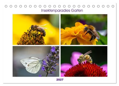 Produktbild von Insektenparadies Garten (Tischkalender 2027 DIN A5 quer), CALVENDO Monatskalender