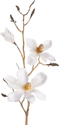 Obrázok produktu pre Leonardo Magnolie 80 Weiß/Gold Starry 29381