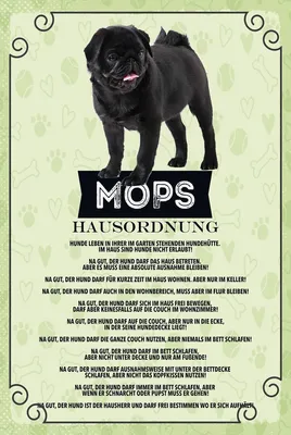Produktbild von vianmo Holzschild 18x12 cm Tiere Mops Hausordnung Hunde