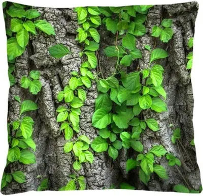 Obrázek produktu pro Bertoni Garten-Kissen 50x50 cm Creeper