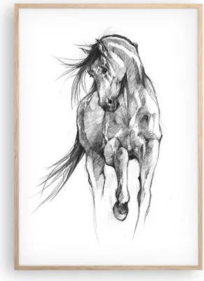 Produktbild von Gerahmtes Poster - Rahmen in heller Eiche - Pferd Galopp Tier - 70x100 cm - Wand Bild - Wanddeko - Wandbilder - Kunstposter - Wandposter - Bilderrahmen - Bilder - Kunstdruck - P2NPA70x100-5080