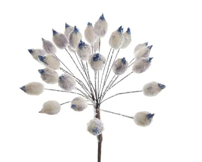 Produktbild von Blüte Dekoblüte Bärenklau Frostfinish