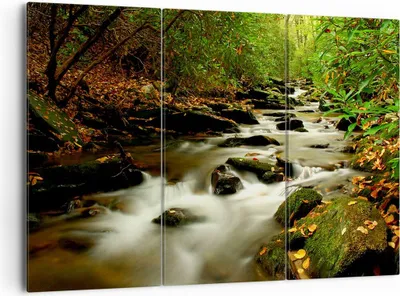 Produktbild von Bild auf Leinwand - Leinwandbild - Bäume Strom Felsen - 165x110cm - Wand Bild - Wanddeko - Leinwanddruck - Bilder - Kunstdruck - Wanddekoration - Leinwand bilder - Wandkunst - CE165x110-0152