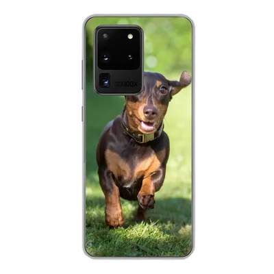Produktbild von MuchoWow® Handyhülle Schutzhülle Hülle für Samsung Galaxy S20 Ultra Ein sprintender Dackel Silikon Softcase Handy Hülle - Karteninhaber