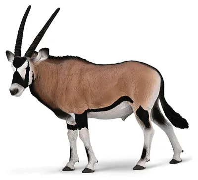Productafbeelding van Collecta 80056 Spießbock, Oryx, Gazella, 12 cm, Wilde dieren
