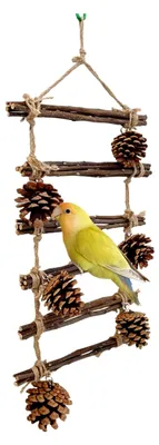 Produktbild von Vogelleiter aus Naturholz - Sitzstangen für Spiel und Klettern - Spielzeug für Wellensittiche, Unzertrennliche und Nymphensittiche für Innen- und Außenbereich