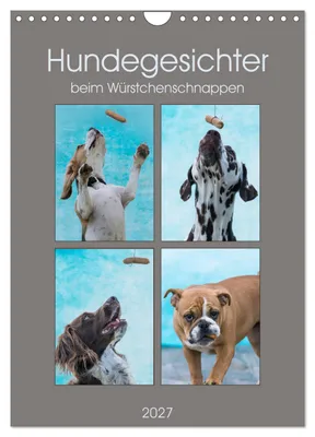 Produktbild von Hundegesichter beim Würstchenschnappen (Wandkalender 2027 DIN A4 hoch), CALVENDO Monatskalender