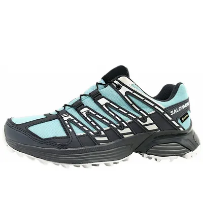 Produktbild von Salomon XT Reckon GTX W Damen Wanderschuh in Blau, Größe 7