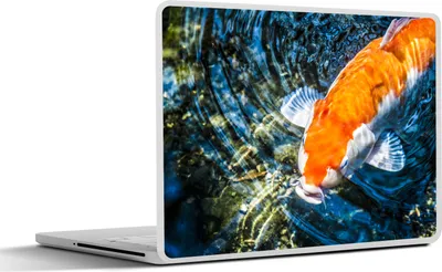 Produktbild von MuchoWow® Laptop Aufkleber Sticker Cover Ein Koi-Karpfen, der an die Wasseroberfläche kommt 30x21 cm - Sticker für Laptop - Selbstklebend