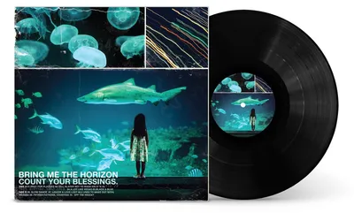 Image de Bring Me The Horizon : Count Your Blessings (140g)