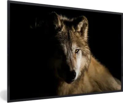 Produktbild von MuchoWow® Gerahmtes Poster Polarwolf 90x60 cm - Poster mit Schwarzem Bilderrahmen Wandposter Rahmen Foto Bilder - Fotorahmen - Foto-Plakat