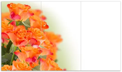 Produktbild von Wallario Herdabdeckplatte aus Glas, Größe 90 x 52 cm 3-teilig, Motiv Orangene Rosenblüten im Strauß