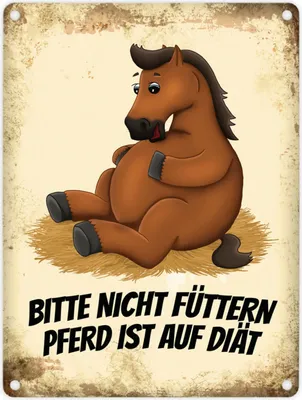 Produktbild von Metallschild mit Pferde Motiv und Spruch: Bitte nicht füttern - Pferd ist ...